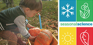 Fall Seasonal Science Activities with Hollie Barattolo
