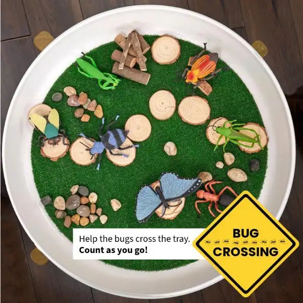 Bug-themed tuff tray activity for preschool science exploration and counting practice.
