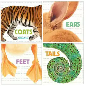 Guess who board book set for babies and toddlers