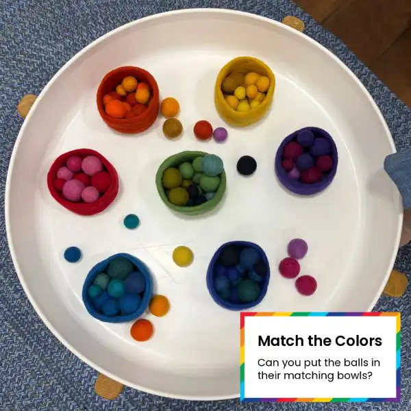 Sorting activity using loose parts to build early math and classification skills.