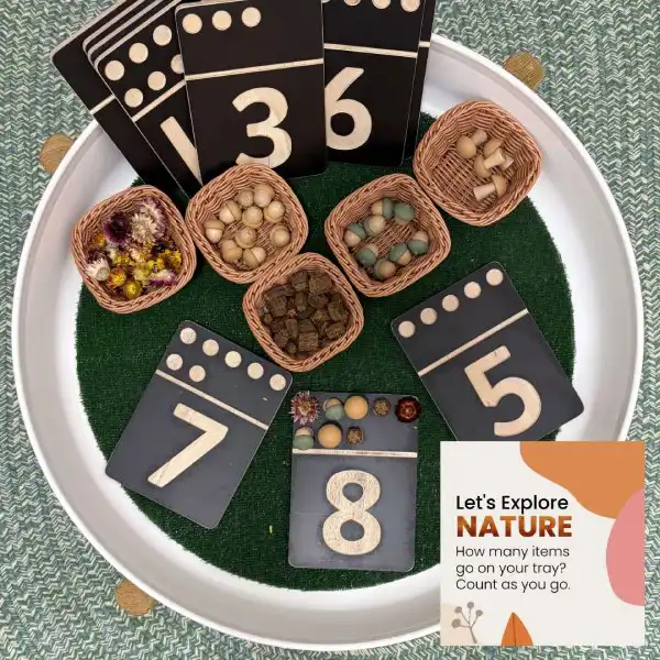 Nature-based tuff tray activity combining counting and discovery.