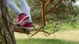 risky play child climbing tree