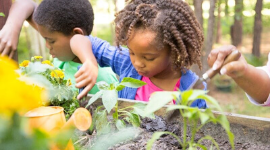 Ideas to keep children actively learning in the summer