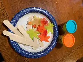Fall Engineering Science Activity