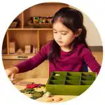 ​​Preschool girl sorting nature-inspired items into sorting box 