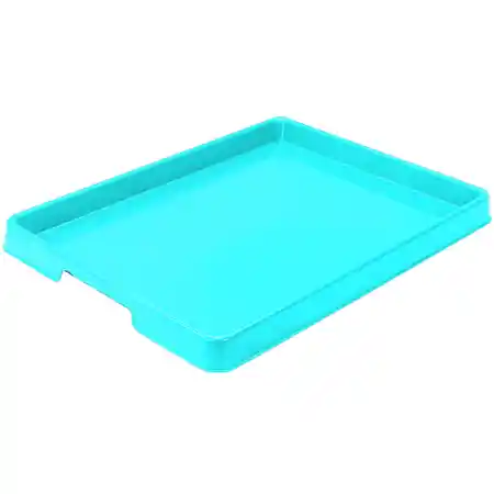 Large Paint Tray, Teal
