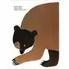 Brown Bear, Brown Bear, What Do You See?