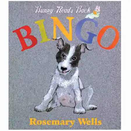 Bingo Board Book