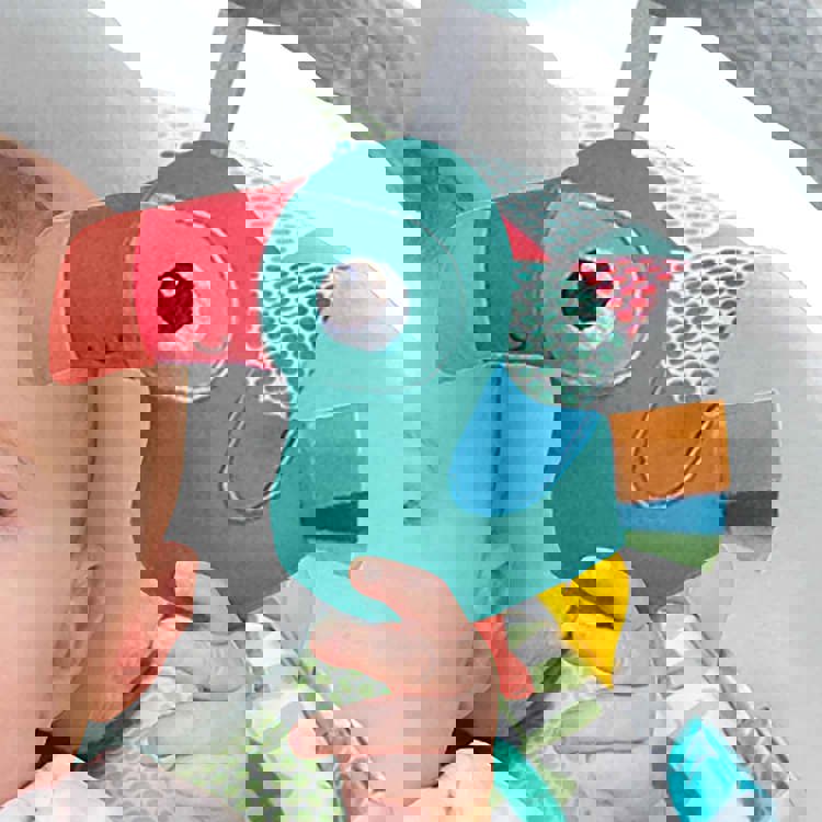 Toucan Tango™ Bouncer