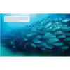 Ocean Animals and Their Ecosystems: A Nature Reference Book for Kids