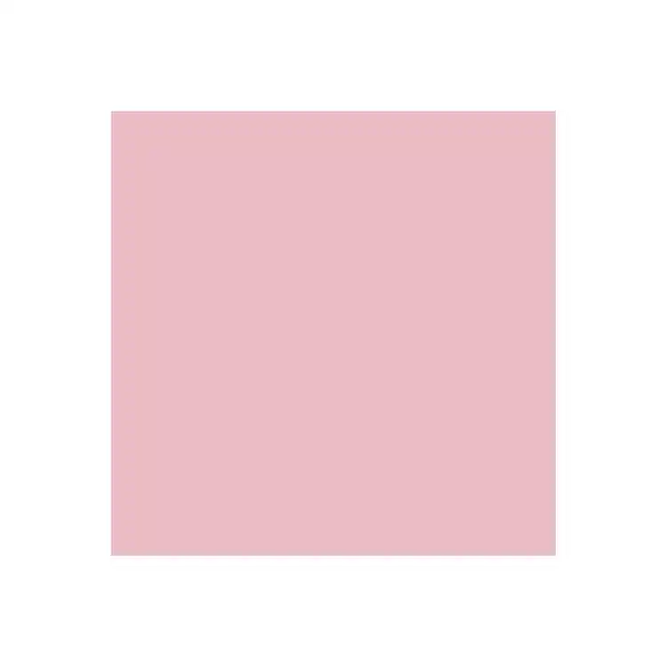 Dual Purpose Colored Copy Paper, Pink