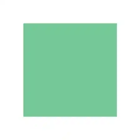 Dual Purpose Colored Copy Paper, Green