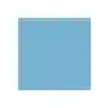 Dual Purpose Colored Copy Paper, Blue