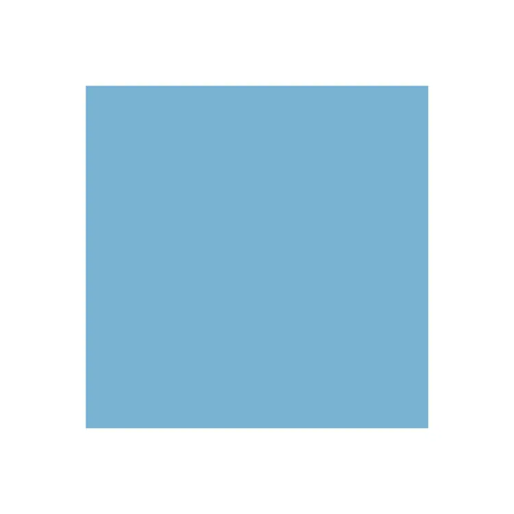 Dual Purpose Colored Copy Paper, Blue