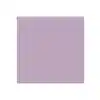 Dual Purpose Colored Copy Paper, Orchid