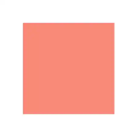 Dual Purpose Colored Copy Paper, Cherry