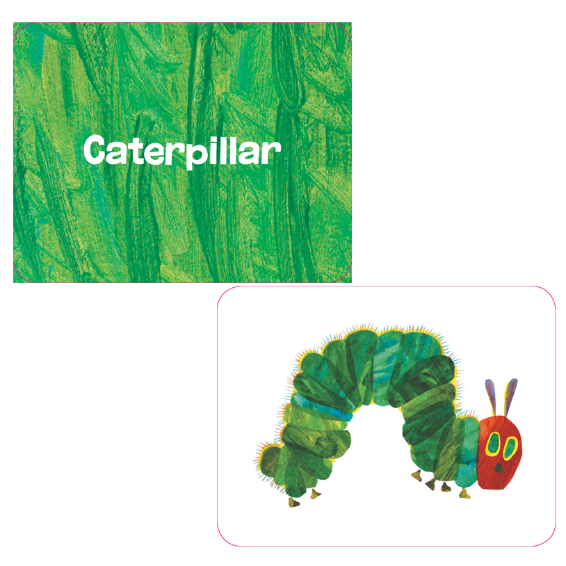 The Very Hungry Caterpillar Picture Flash Cards | Becker's School Supplies