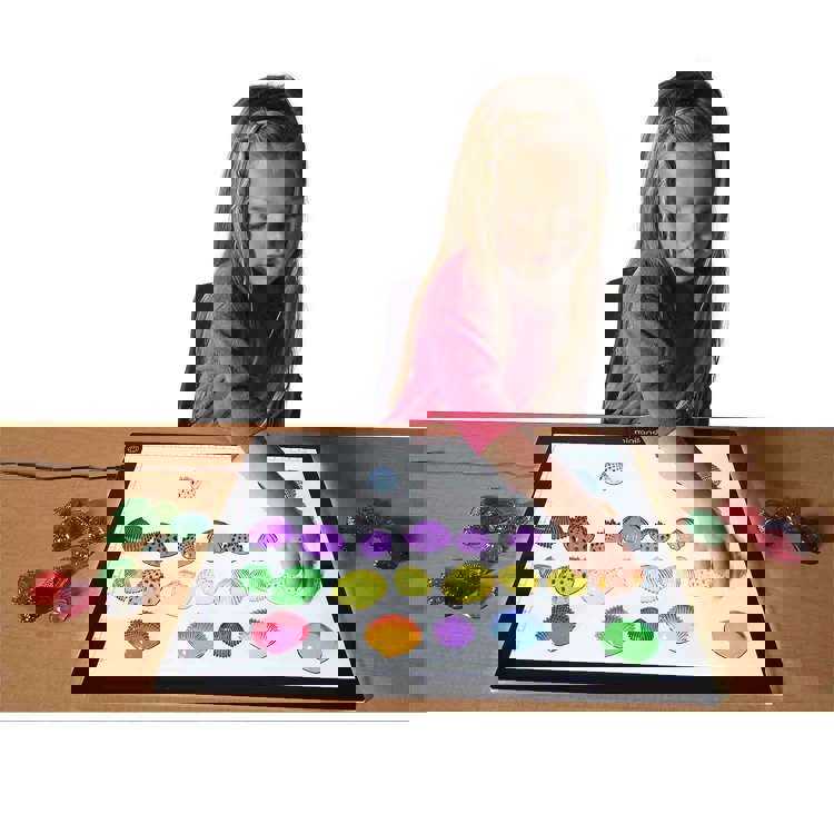 Translucent Tactile Shells Set