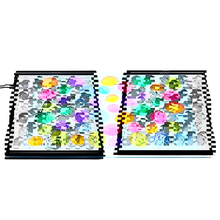 Translucent Tactile Shells Set