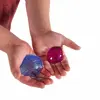 Translucent Tactile Shells Set