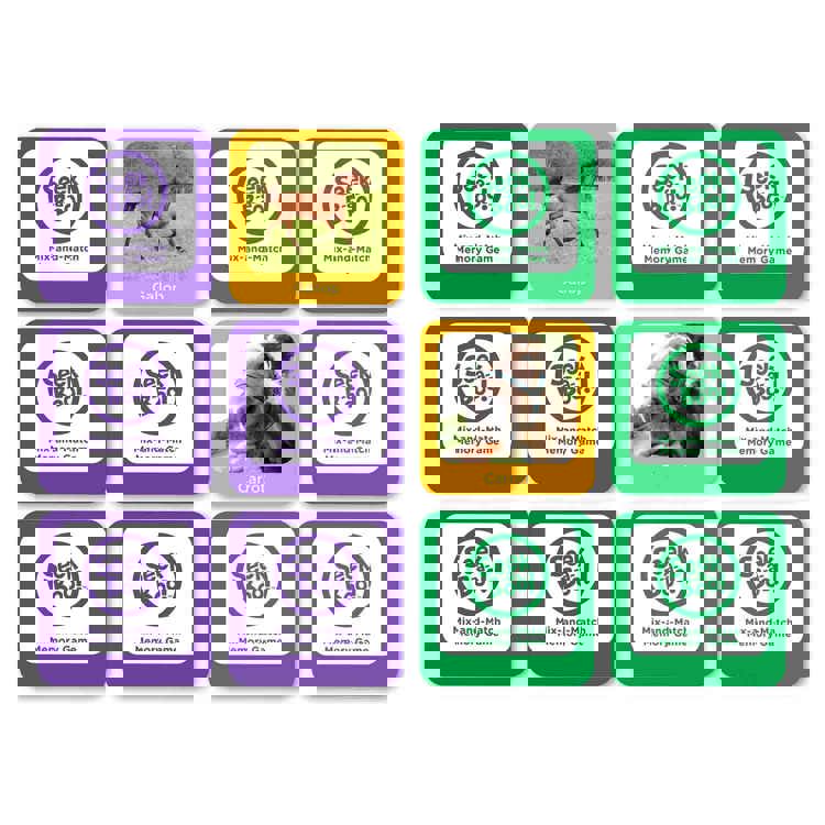 Seek-A-Boo Memory Game