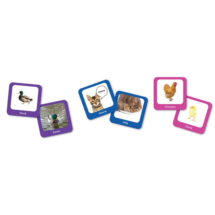 Seek-A-Boo Memory Game