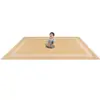 Portrait Classroom Rugs