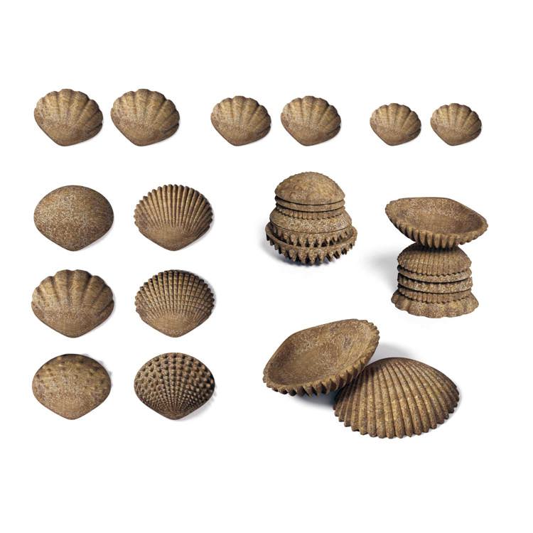 Tactile Shells