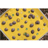 Tactile Shells