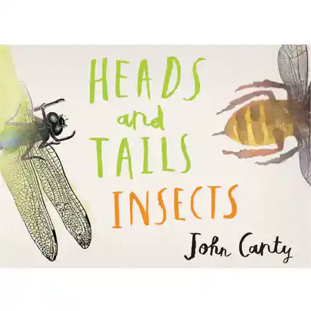 Heads and Tails: Insects