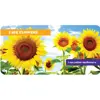 Outdoor Explorer Book Set