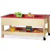 Sensory Table with Shelf