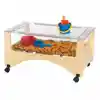 See-Thru Sensory Table