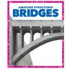 Amazing Structures Bridges
