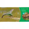 Exploring Habitats Book Set