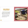 Friendship Rocks Book Set