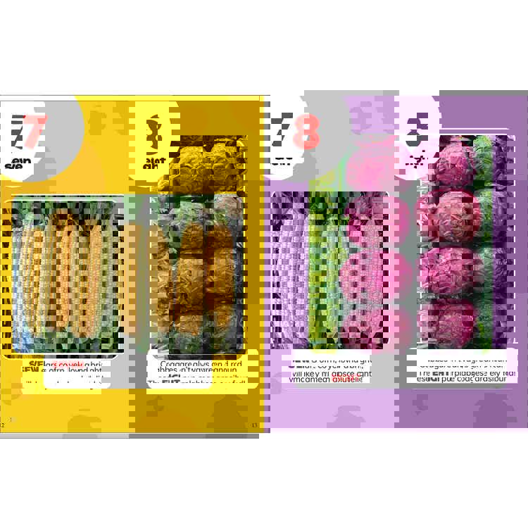 The World Around You Book Set