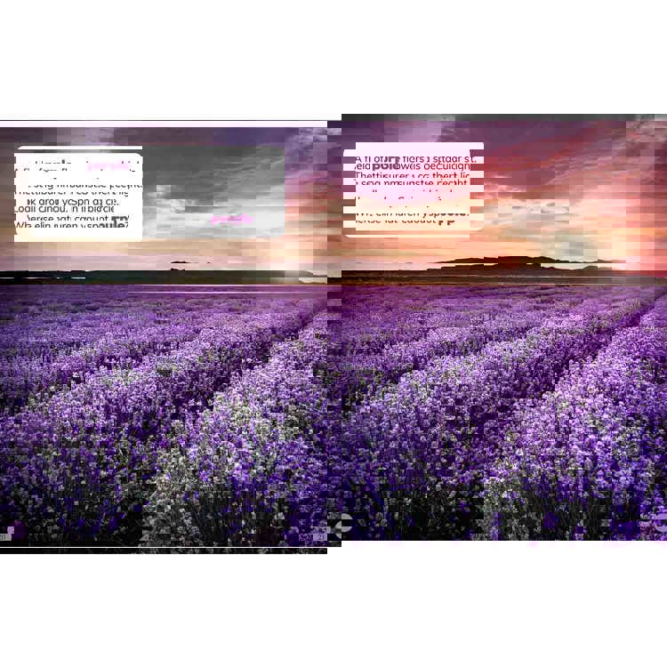 The World Around You Book Set