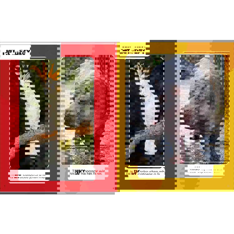 The World Around You Book Set
