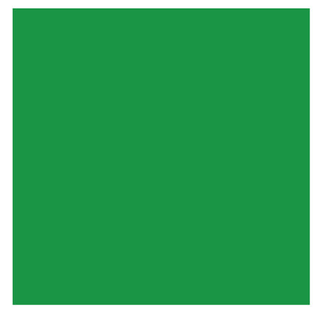 Crayola® Crayon Large Refill, Green