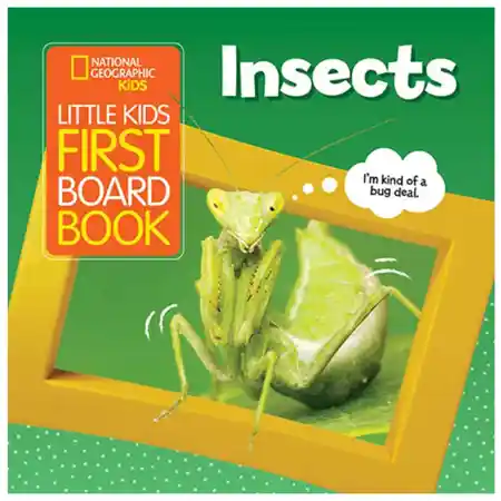 Little Kids First Board Book: Insects