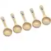 3 oz. Portion Control Serving Spoon, Set of 5