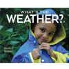 What's The Weather?