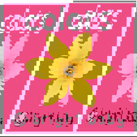 Bright Baby Colors Board Book