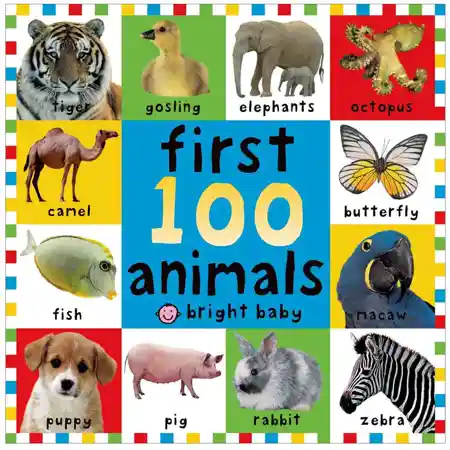 First 100 Animals Big Board Book