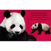 Bright Baby Touch & Feel Board Book Set
