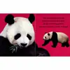 Bright Baby Touch & Feel Board Book Set