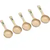 4 oz. Portion Control Serving Spoon, Set of 5