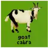 Bright Baby Bilingual Board Books