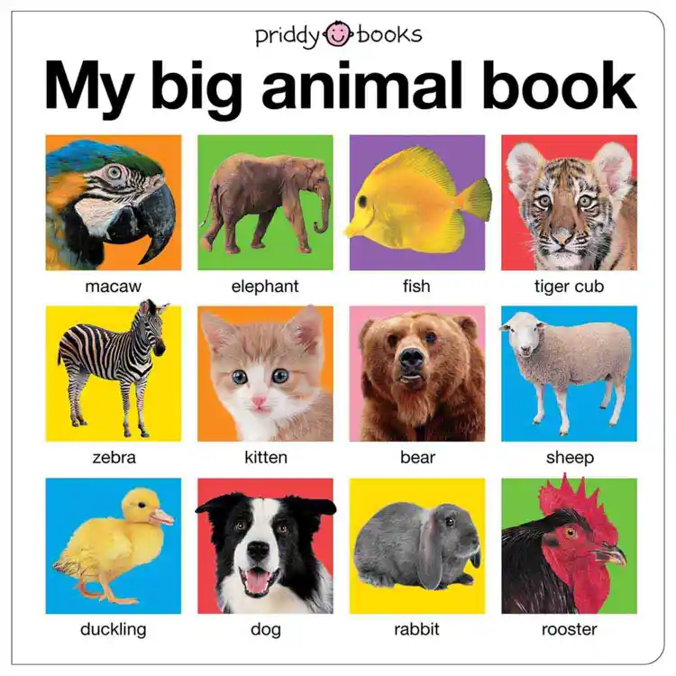 My Big Animal Board Book